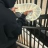 Big Bills